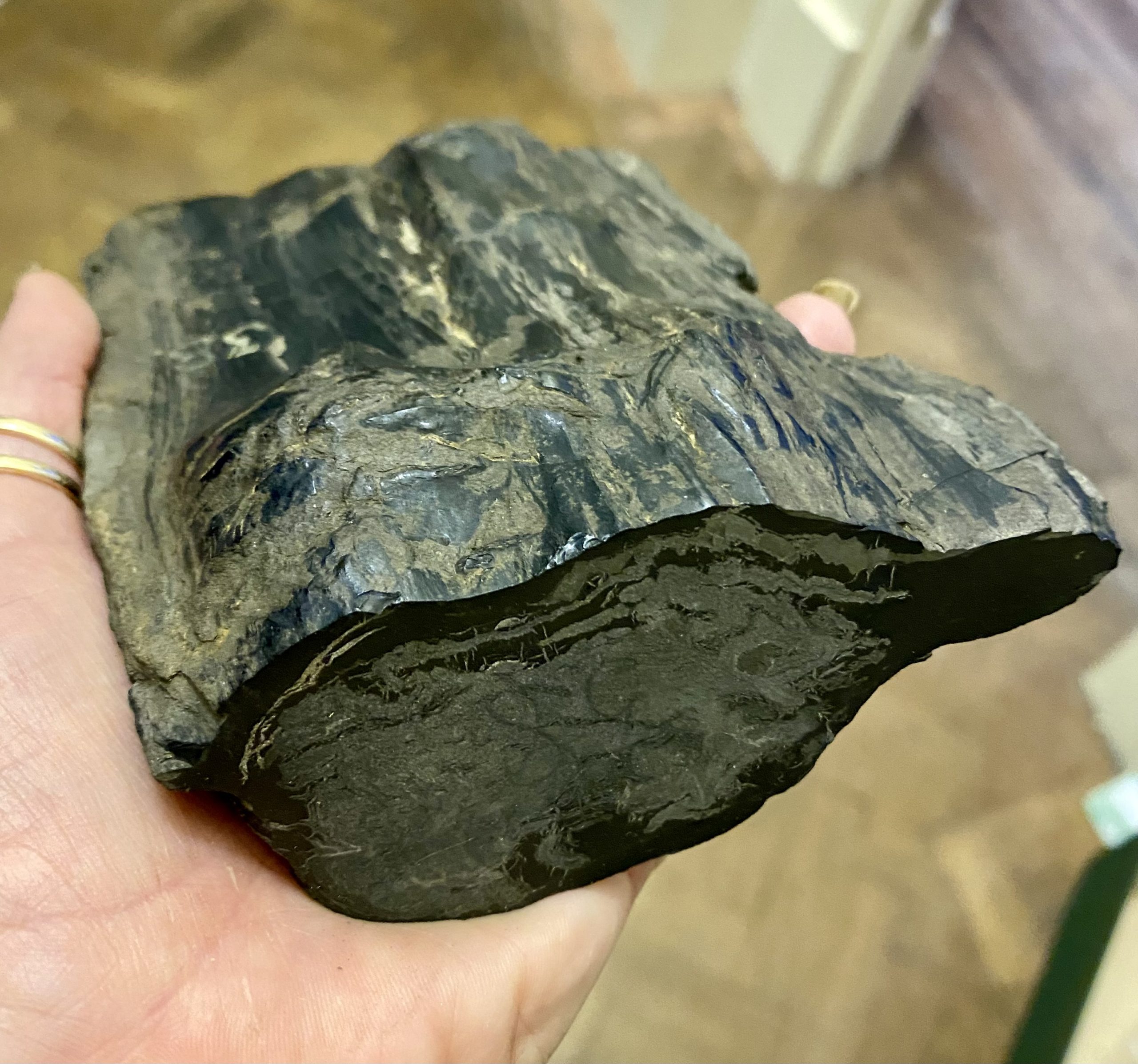 Cored Whitby Jet