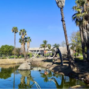 A mammoth stuck in a tar pit